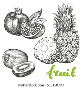 fruit pomegranate, kiwi, pineapple set hand drawn vector illustration realistic sketch