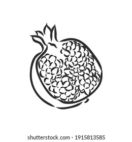 conjunto de grano de fruta ilustraciones vectoriales hechas a mano esbozar un esbozo realista. ilustración de dibujo vectorial de garnet