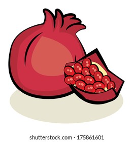 Fruit, Pomegranate, vector illustration