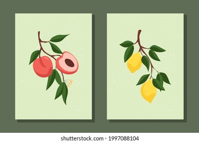 Juego de afiches de fruta. Rama con melocotones. Rama con limones. Ilustración vectorial.