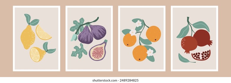 Fruit posters set. Wall art posters with lemons, tangerines, figs and pomegranates. Hand drawn vertical tropical fruit template collection, vector graphic