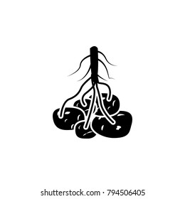 the fruit of a potato icon. Elements of agricultural root crops icon. Premium quality graphic design icon. Baby Signs, outline symbols collection icon for websites, web design on white background