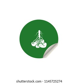 the fruit of a potato icon in sticker. One of roots collection icon can be used for UI/UX
