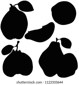 Fruit quince, vector, silhouette