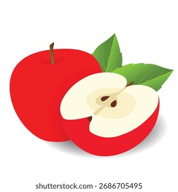  Fruta realista Ilustración vectorial Fruta realista Ilustración vectorial                            