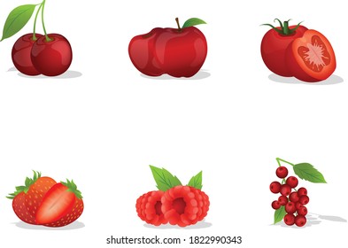 Fruit red vector illustration 