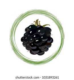  Fruit of ripe blackberry