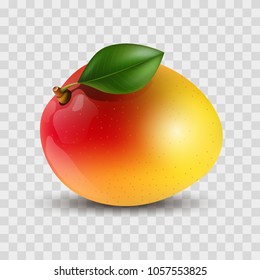 Fruit of a ripe mango isolated on a transparent background, exotic, tropical fruit, 3D. Vector illustration.