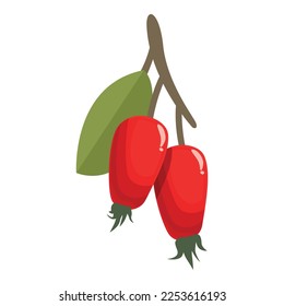 Fruit rosehip icon cartoon vector. Berry food. Ripe wild