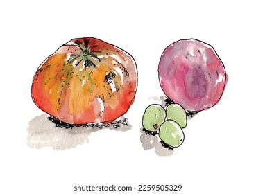 Fruit satsuma, orange, plum, grapes watercolor sketch. Healthy snack. Isolated vector.