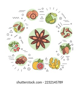 Fruit and seeds web banner. Condiment product. Aromatic spices. Infographics with linear icons on white background. 