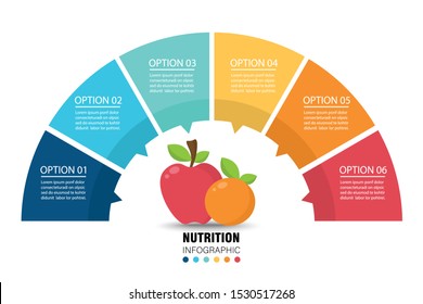 Fruit Semi Circle Infographic On White Background. Nutrition And Healthy Eating Concept. Vector Illustration In Flat Design.