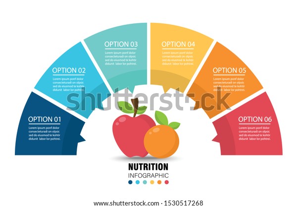 Fruit\
semi circle infographic on white background. Nutrition and healthy\
eating concept. Vector illustration in flat\
design.