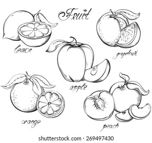 Fruit set. Apple, lemon, grapefruit, orange and peach.  Vector hand drawn. Vintage sketch style illustration. 