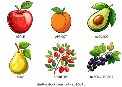 Conjunto de frutas en estilo de dibujos animados. Manzana, albaricoque, aguacate, pera, grosella negra, barbacoa sobre un fondo blanco. Ilustración vectorial.