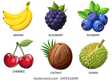 Fruit set in cartoon style. Banana, blackberry, blueberry,cherries, coconut, durian on a white background. Vector illustration.