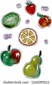 Fruit set. Color illustration
