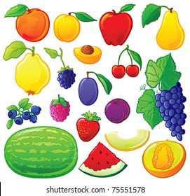 Fruit set with color outlines. Each in separated layer, vector illustration