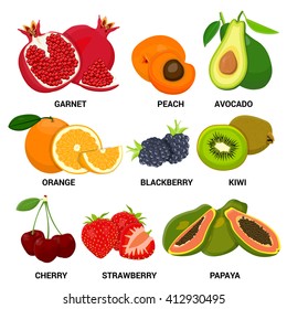Fruit set. Color vector illustration