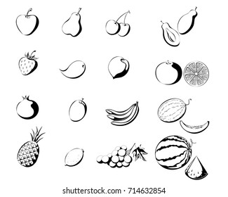 fruit set in a contour style