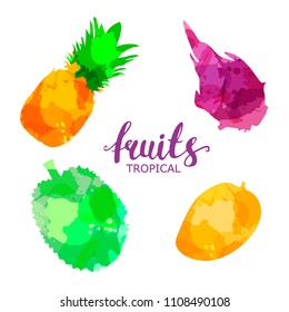 Fruit set drawn watercolor blots and stains with a spray pineapple, mango, draconian fruit, durian.Isolated eco natural food vector fruits illustration on white background with lettering