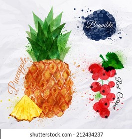 Fruit set drawn watercolor blots and stains with a spray pineapple, bramble, red currant