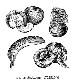 fruit set engraving 