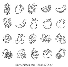 Fruit set featuring pineapple mango coconut watermelon melon grape banana pear apple peach kiwi cherry strawberry blueberry fig pomegranate carambola