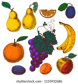 fruit set, hand drawing, vector color isolated on white background, pear, grape, banana plum, Apple