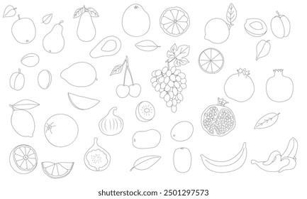 Fruit set, hand-drawn. Contour drawing isolated on a white background. Whole and chopped fruits. Illustration, icon, template for coloring.