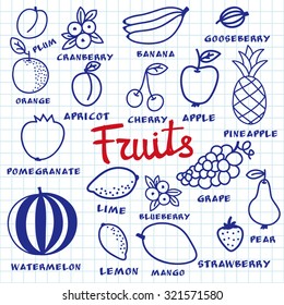 Fruit set. Hand-drawn different cartoon fruits made with blue pen on the notebook sheet. Doodle drawing. Vector illustration. 