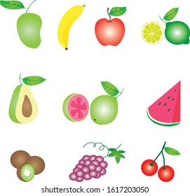 Fruit set Illustration isolated white - Vector