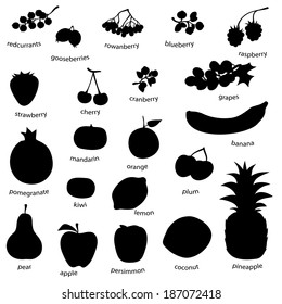 fruit set isolated on white (vector eps 10)