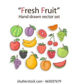 Fruit set isolated on a white background in doodle style
