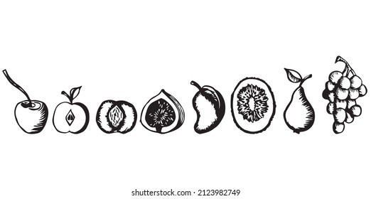 Fiesta de frutas, kiwi, cereza, pera, uva, higo, manzana, melocotón, mango. Gráficos. Dibujo manual. Ilustración vectorial aislada en fondo blanco.