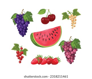 Fruit set. A large set of fruits, such as watermelon, grapes, cherries, red and white currants, and strawberries. Summer fruits. Vector illustration