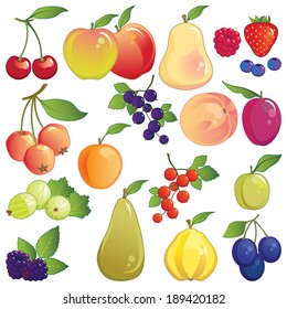 Fruit set. Large icon collection of fresh orchard and garden fruit.