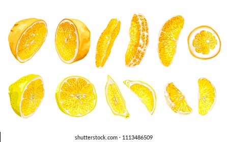 Fruit set with lemon and orange in halves and slices in different parts in realistic vector graphic illustration in bright colors