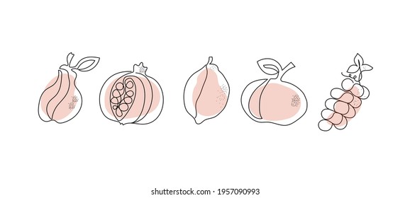 Obstset-Kunst, in einer Linie gezeichnet. Vektorgrafiken, isolierter Hintergrund.