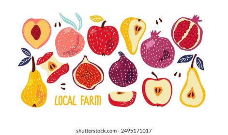 Fruit set. Local Farm. Hand drawn Bright different fruits whole and cut. Farmer market. Abstract hand drawn fruits. Fashionable trend vector illustration isolated on white background