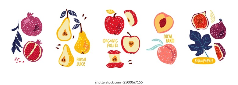 Fruit set. Local Farm. Hand drawn Bright different fruits whole and cut. Farmer market. Abstract hand drawn fruits. Fashionable trend vector illustration isolated on white for packing juice, jam