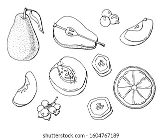 fruit set made in black and white, doodle, isolated white, stock illustration