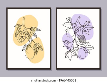 Fruit set of minimalistic posters. Lemon and passion fruit. Vector illustration in the style of engraving.