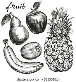 fruit set pear, apple, banana, kiwi, pineapple hand drawn vector illustration realistic sketch