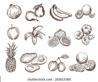 Fruit set of twelve parts vector sketches