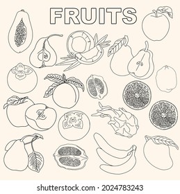 Fruit set for use in product logos. Vector.