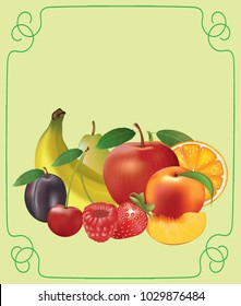 Fruit set, vector