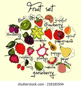 fruit  set. Vector