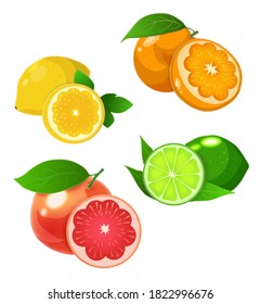 Fruit set. Vector graphics, citrus. Orange, lemon, grapefruit, lime. Summer, leaves. Juicy