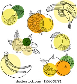 Fruit set in vector. Harvest and Thanksgiving fruit of nature, organic fresh food collection for restaurants, menus, posters and grocery bag: orange, lemon, apple, avocado, banana in graphic and color